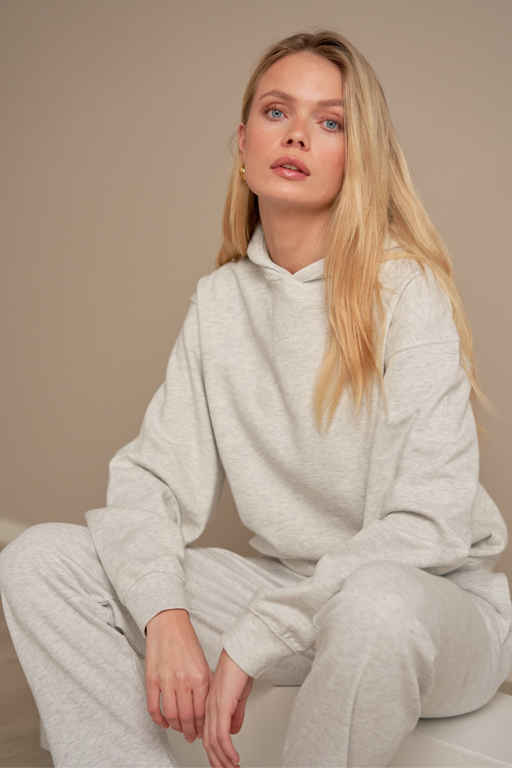 Hoodie Uden Snor - Grå